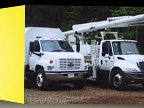 Milam Tree Service - (770) 914-7776