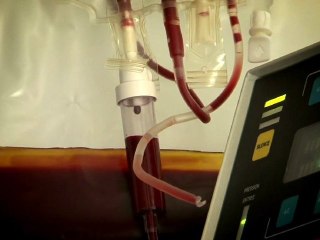 La vie à sang pour sang (extrait)