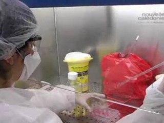 Labo haute securite à Nouméa