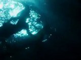 Survive - Spot TV Survive (Anglais)