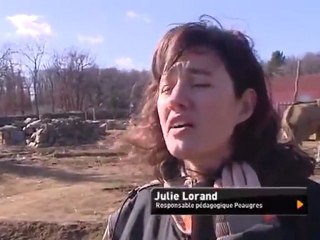 Le parc animalier de Peaugres rouvre ses portes