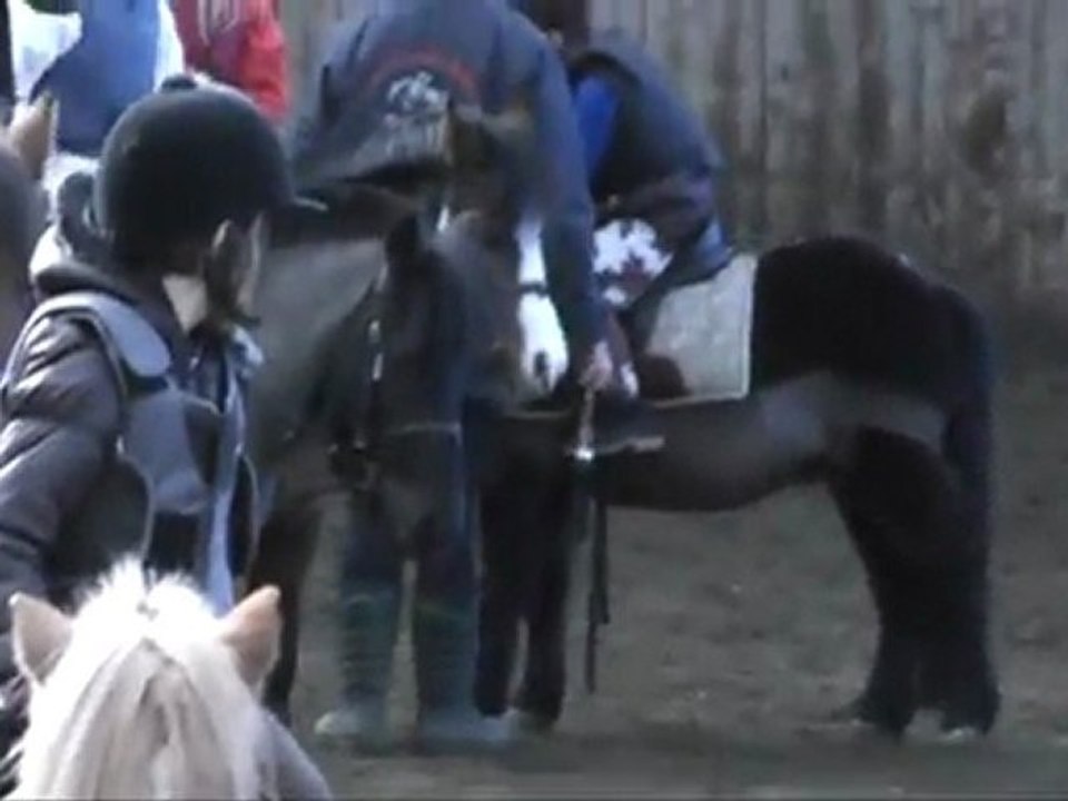 le ptit cow bow en saut