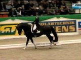 3. Uta Gräf (GER) & Le Noir - Neumünster 2012/02/19 CDI-W3* G.P Freestyle 77,475 %