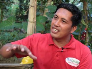 How to make your own dish washing liquid?