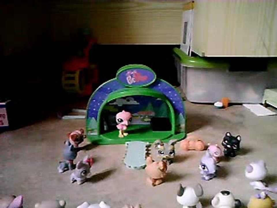 un mariage de petshop