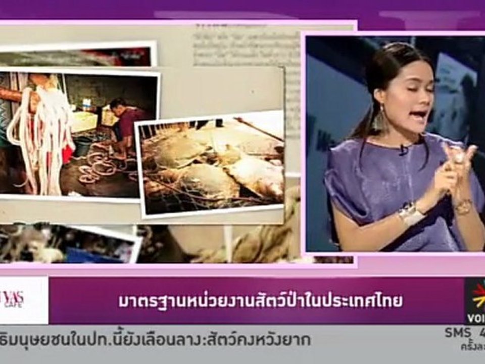 Divas Cafe ประจำวันที่ 23 กุมภาพันธ์ 2555