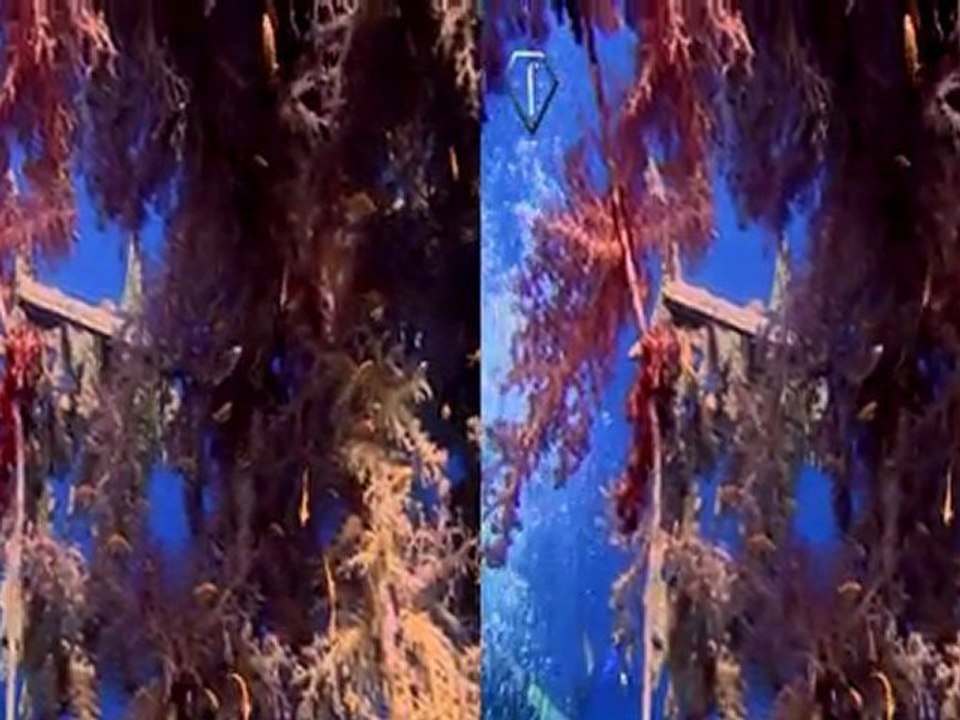 3D Underwater Photoshoot: FashionTV Black & White Diamonds