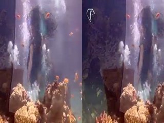 3D Underwater Fashion Photoshoot in Eilat