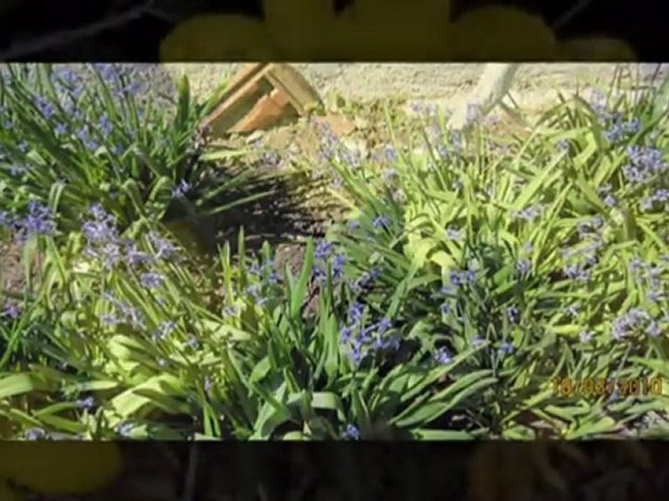 SÜRGÜN ÜLKEDEN BAŞKENTLER BAŞKENTİNE-SEZAİ KARAKOÇ.wmv -(YURDAGÜL ÖZAY)