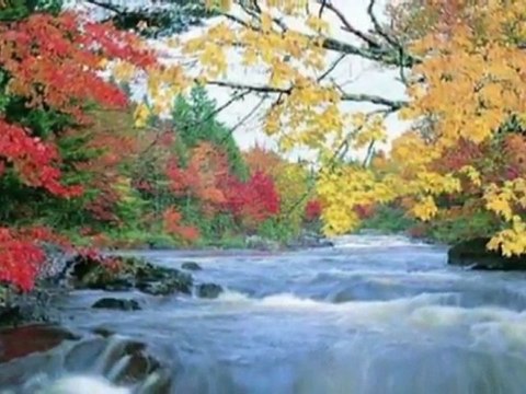 TOHUM-MELİH CEVDET ANDAY-(YURDAGÜL ÖZAY).wmv -