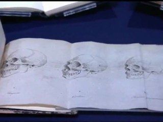 Lilian Thuram se penche sur  l'invention du Sauvage lors de l'exposition Exhibitions - teaser