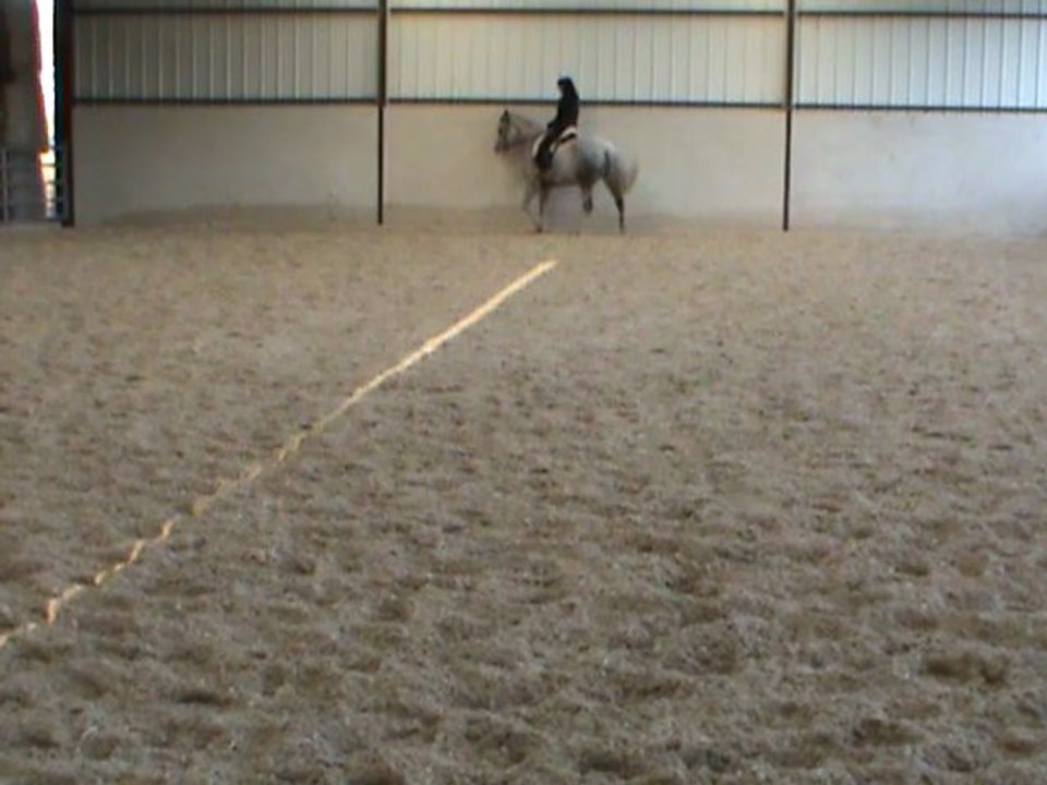 M2U01581 hanches G en dedans en demandant plus de rassemblé