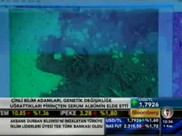 Pirinçten Albümin www.BiOS..tr.cx