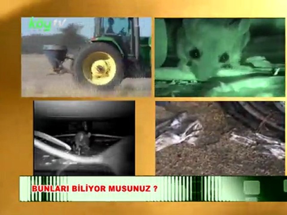 bunları biyor munuz