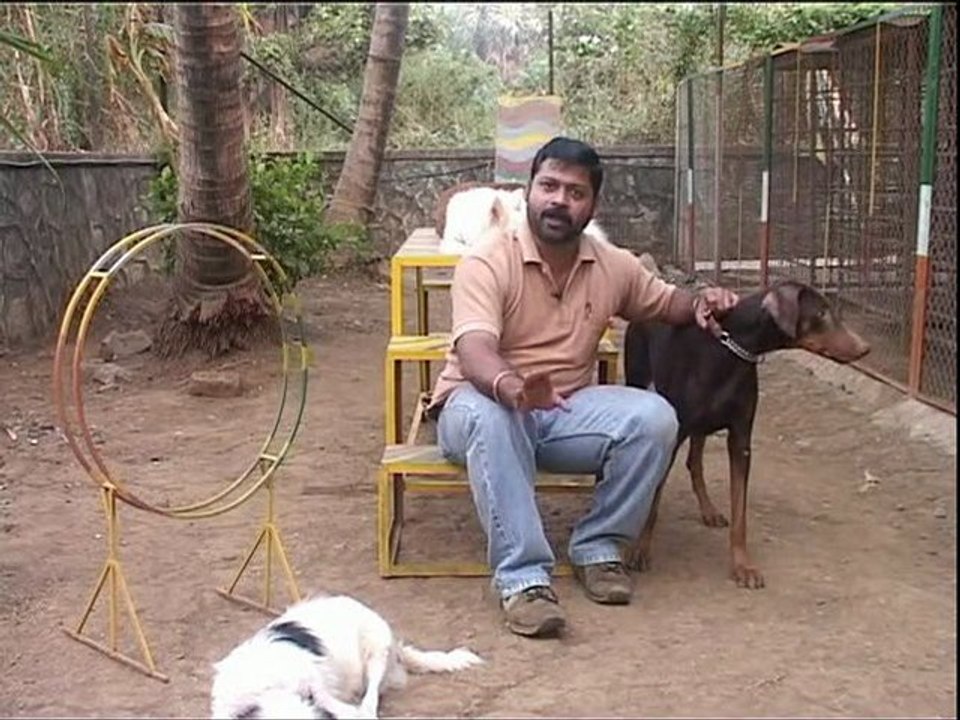 doberman episode 2.1