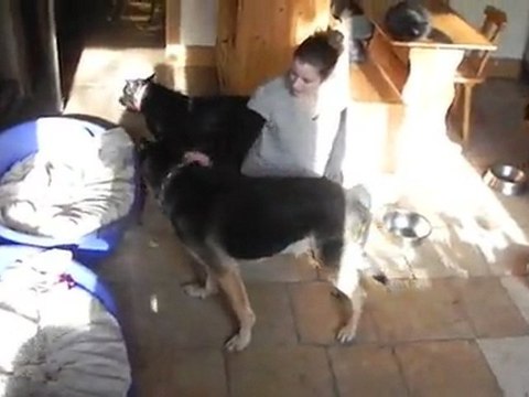 Téléchargement Janvier 2012 2710