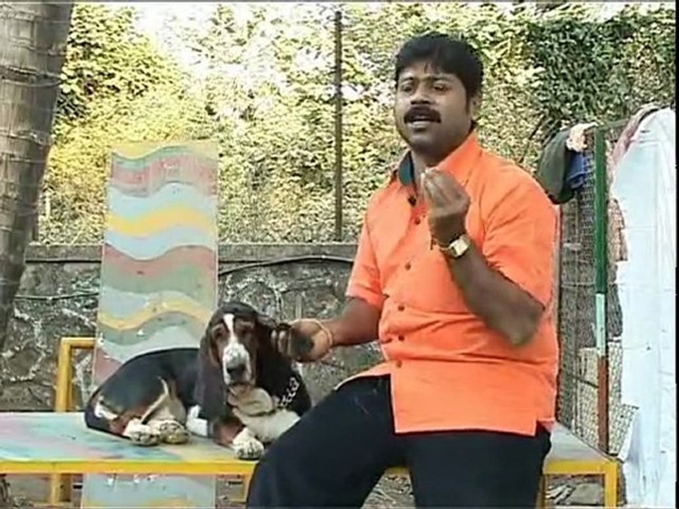 Basset episode 2 part-2