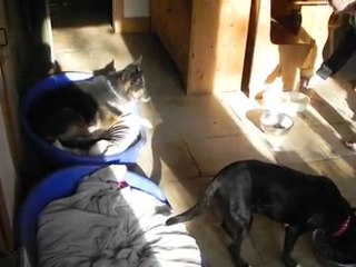 Téléchargement Janvier 2012 2709