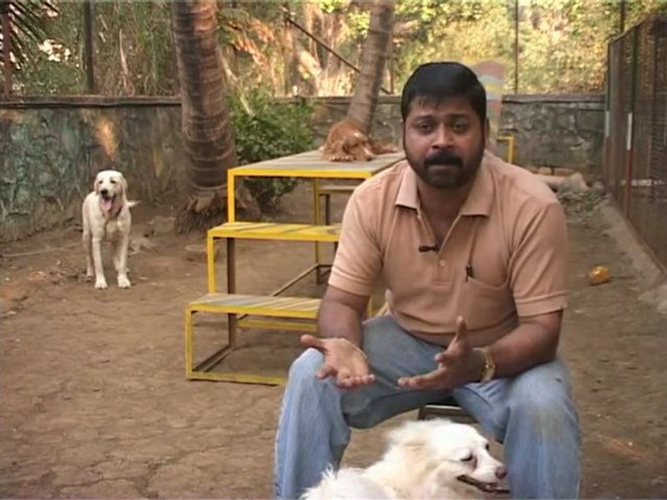 Allabt Animals EPisode 2.1
