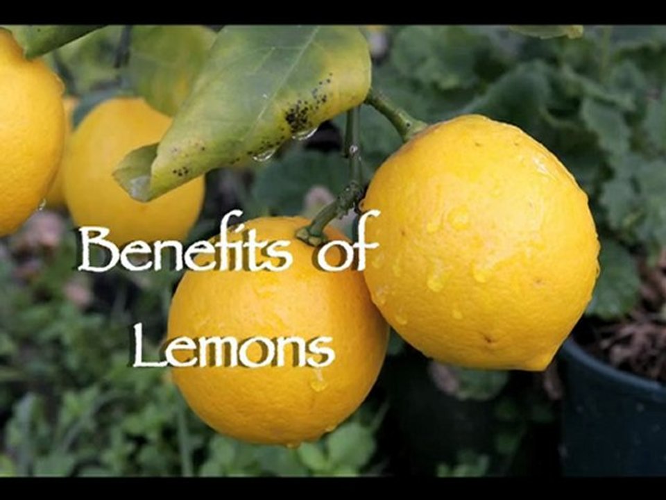 healthy lemon part 01