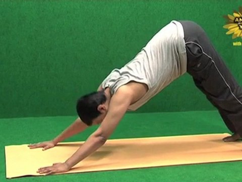 Tibetan yoga 5 rites Rite 5