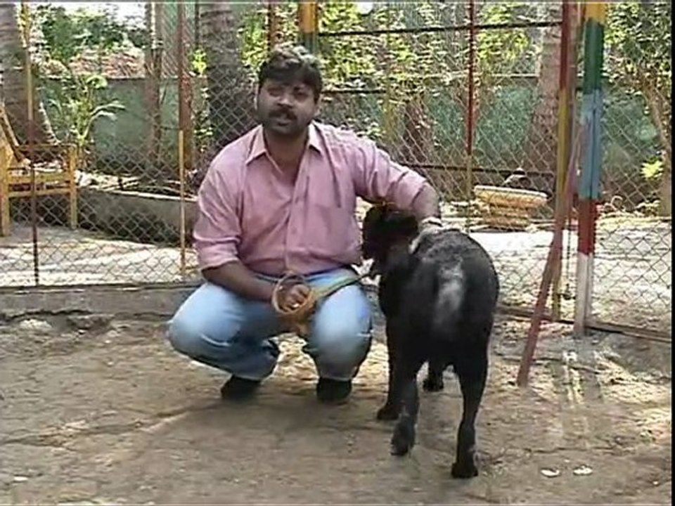 Labrador EPisode 2 part2
