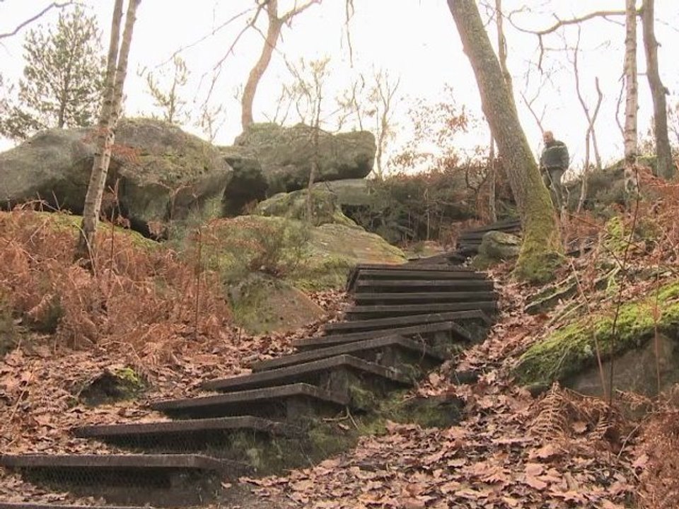 Fontainebleau, forêt d'exception