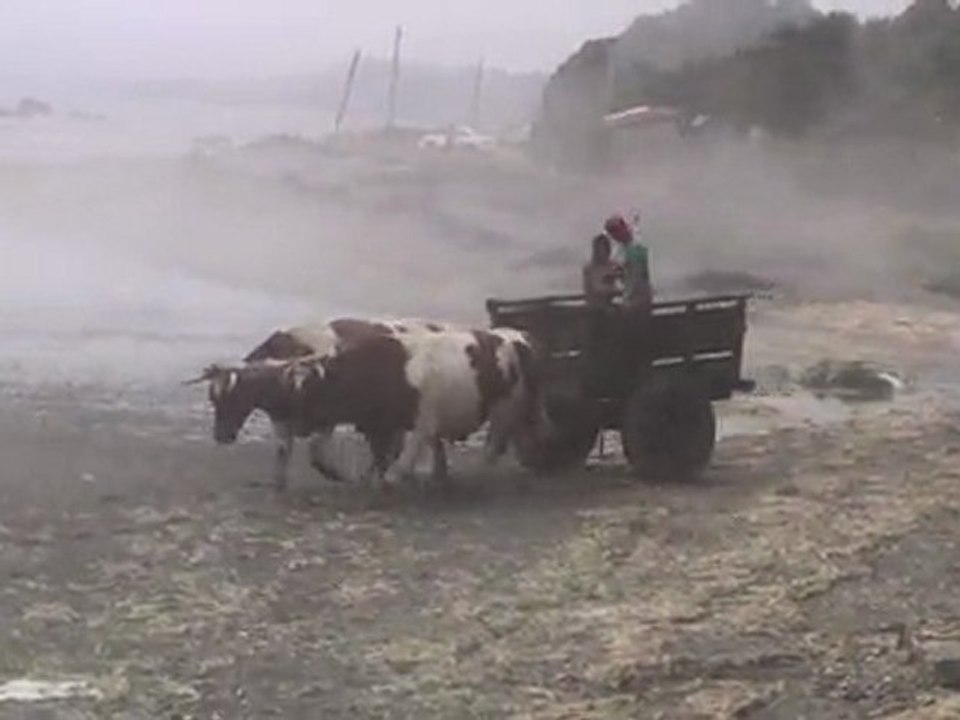 Chiloe, la grande ile du sud Chili