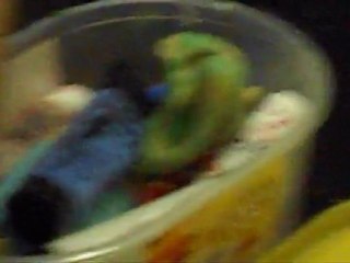 Bob le GoB LDLC Winter trophy