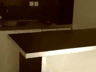 Location t1 Catalans 13007 Marseille