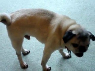 MOV01514 Alfie Treat tasting