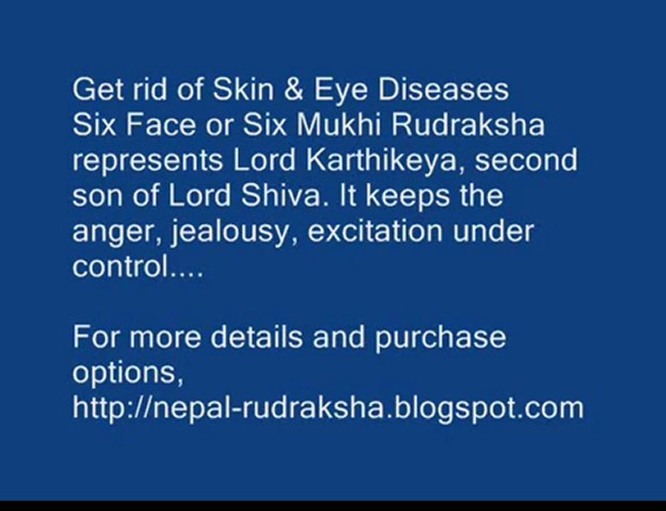 Rudram Chamakam - YouTube