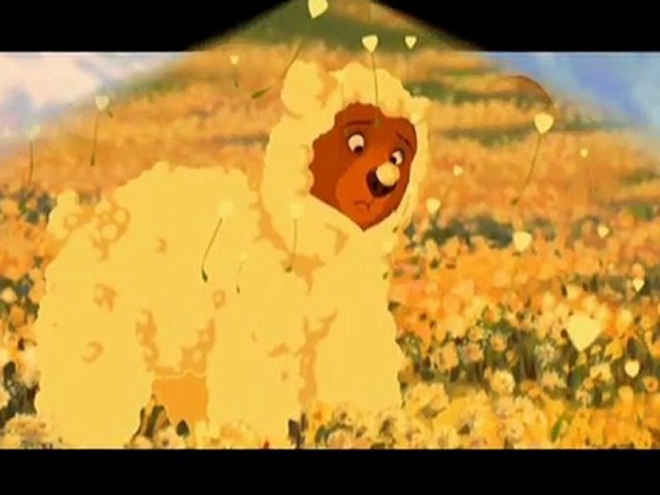 video de frere des ours