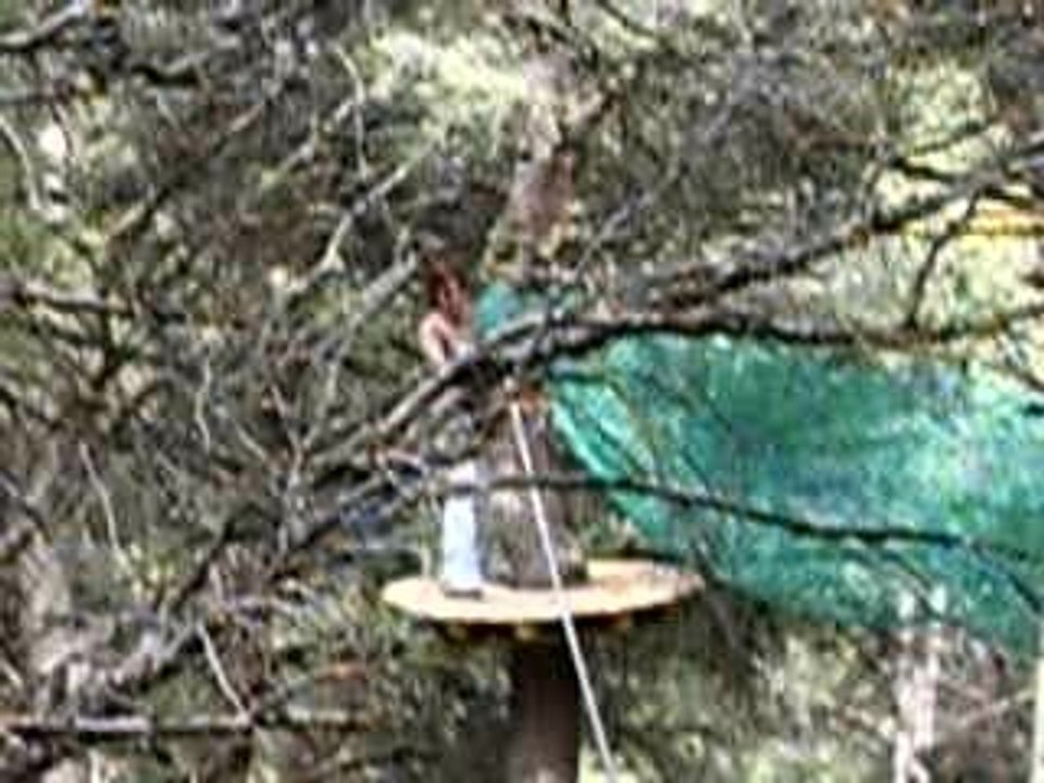 Le Parisien Dans Les Arbres