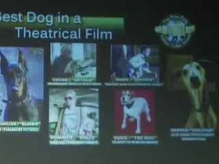 لوس أنجيلس تقع تحت سحر فيلم "ذا أرتيست"