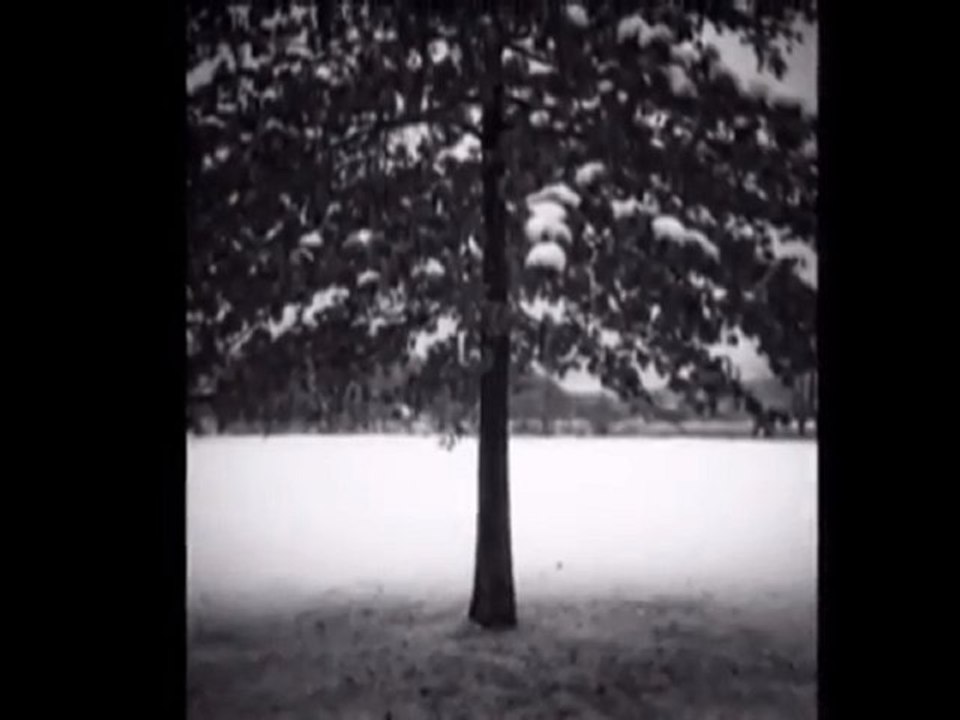 Photographies avec le CANONET 28 par Jean-François Dupuis