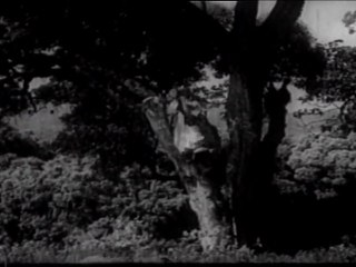 Yarukku Sontham - Manorama And Chandrababu Comedy