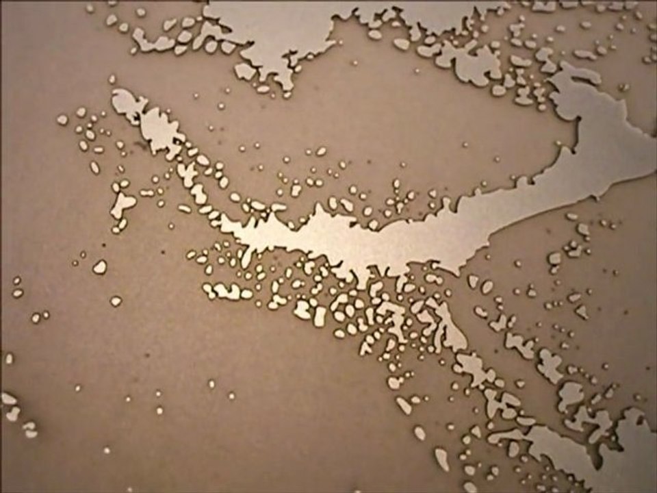 Fishscales in light