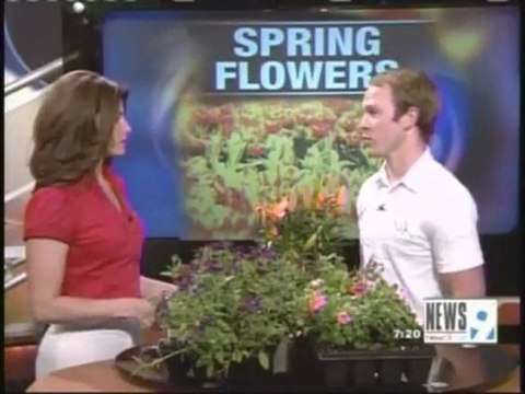 Best Winnipeg Landscaping