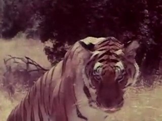 ORUTAI MAKKAL SCENE 10.mov