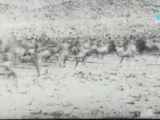 sampoorana Ramayanam - scene 4.mov