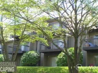 Kingston Pointe Apartments in Knoxville, TN - ForRent.com