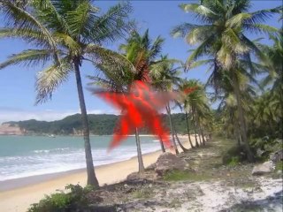 Miguel Chávez On The Beach En Imágenes