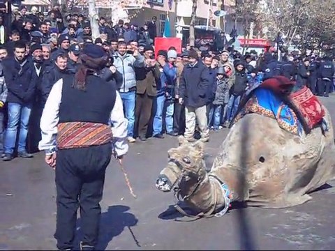 Bayburt Rehberi - 21 ŞUBAT 2012 - DEVE OYUNU