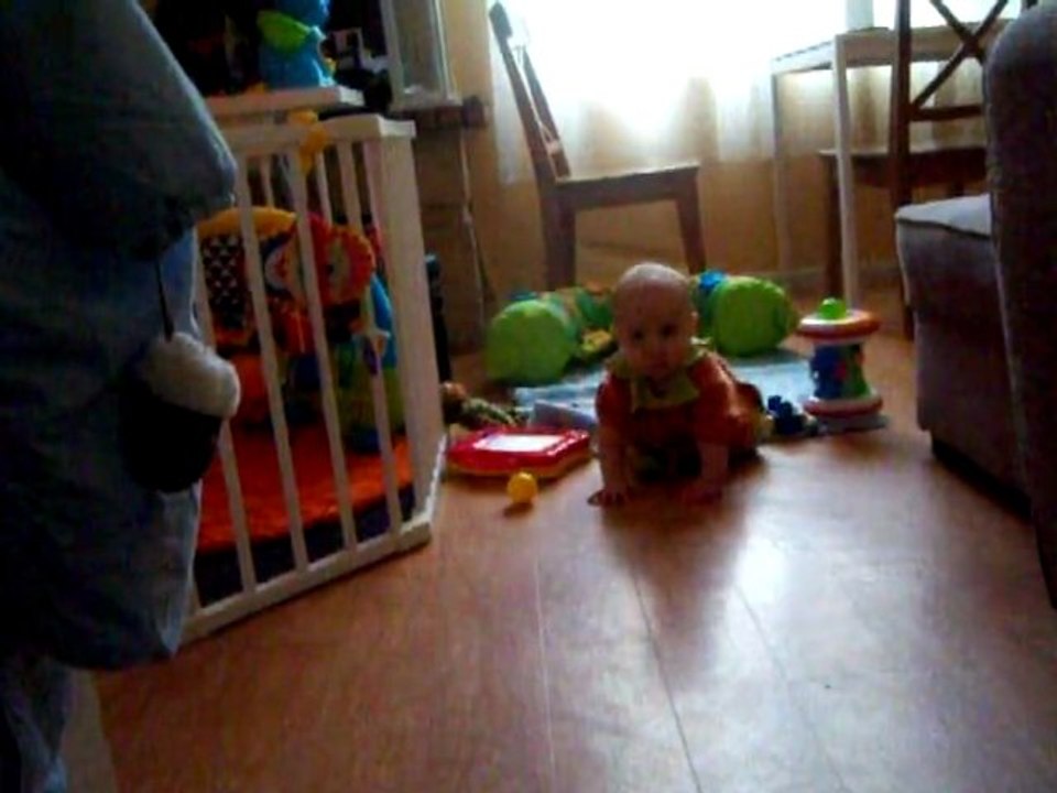 Emmie (9 mois) 4 pattes