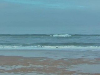 Vendredi 24 Février - Surf report vidéo 11H30