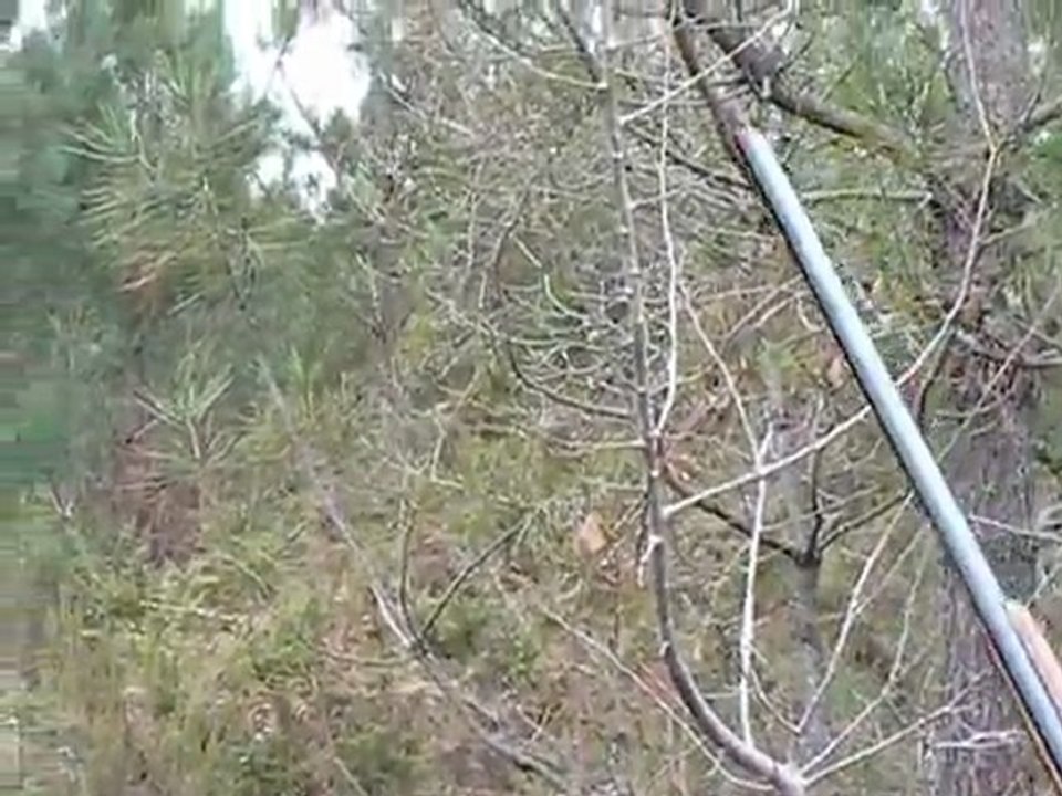 Une journée à la chasse