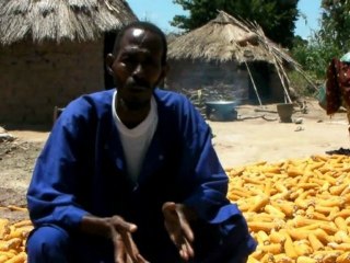 Mali - Production laitière