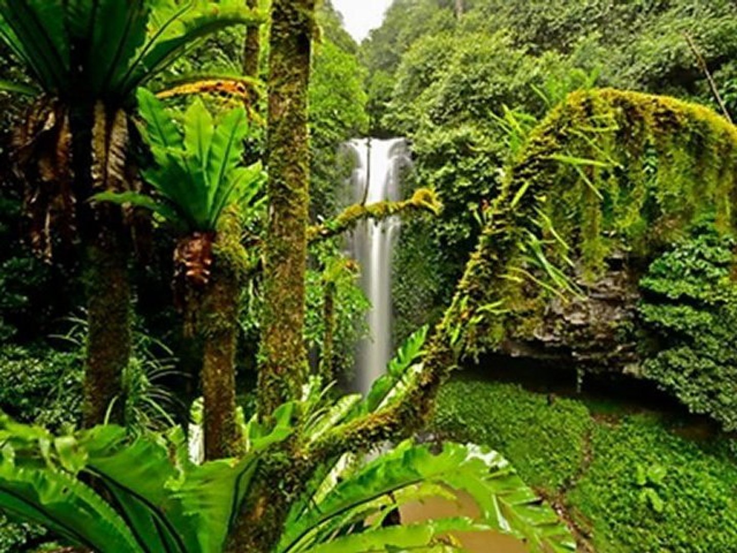 Waterfalls and cascades around the world...