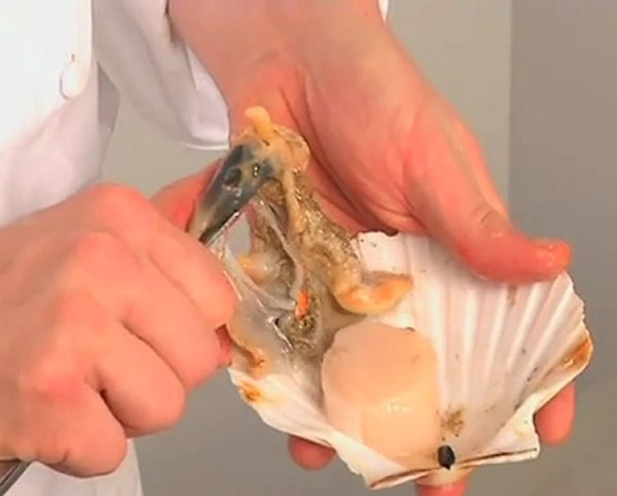 Technique de cuisine : Préparer une coquille St Jacques